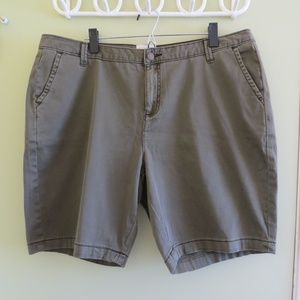 💥 Caslon Olive Green Bermuda Shorts 16W